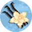 Vanilla Realms logo